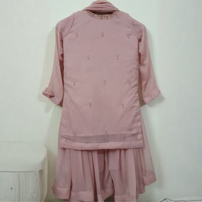 Blush belle |Blush Pink Crinkle Chiffon Gharara Set For Girls | Hand Embellished Luxury Kids Dress | FariCouture