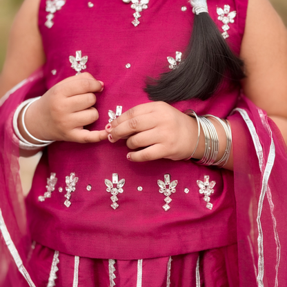Dark Fuchsia Lehenga Choli - Gota Patti & Net Dupatta