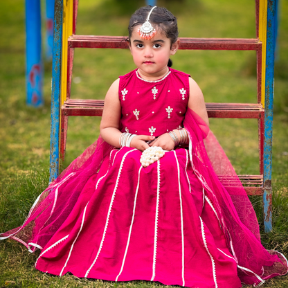 Dark Fuchsia Lehenga Choli - Gota Patti & Net Dupatta